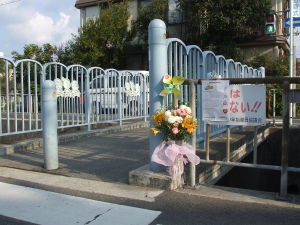 �Y�t:11.jpg