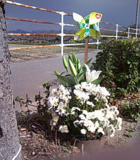 �Y�t:15.jpg